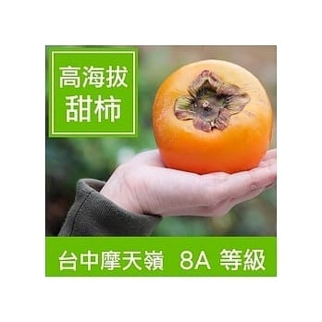 台中摩天嶺【在欉紅甜柿】 1