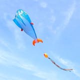10 大風箏推薦排行榜 4