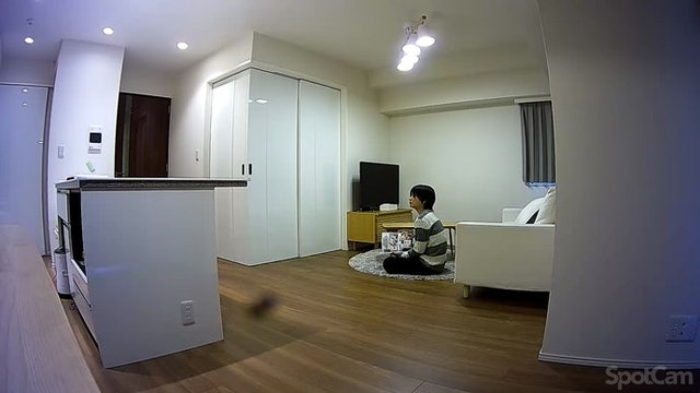 Sense 無線家用WiFi攝影機 5
