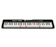 CASIO 61鍵魔光電子琴 1