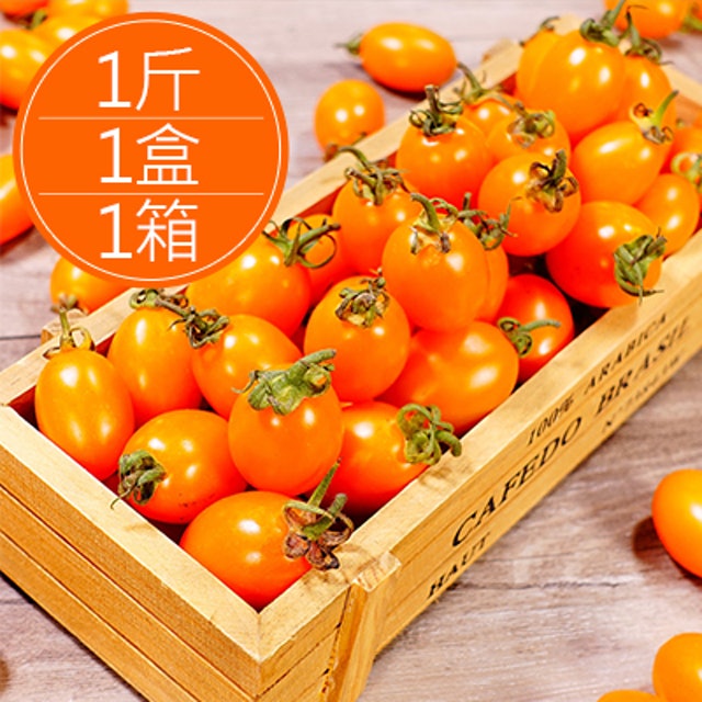 黃金416小番茄 1