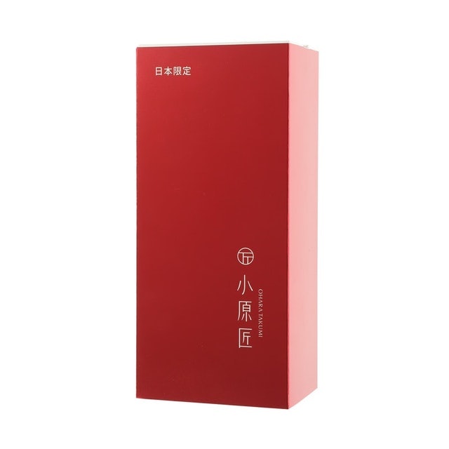 小原匠3V美顔器 5