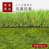 10 大人工草皮推薦排行榜 2
