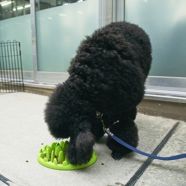 Green mini 樂活慢食碗 9