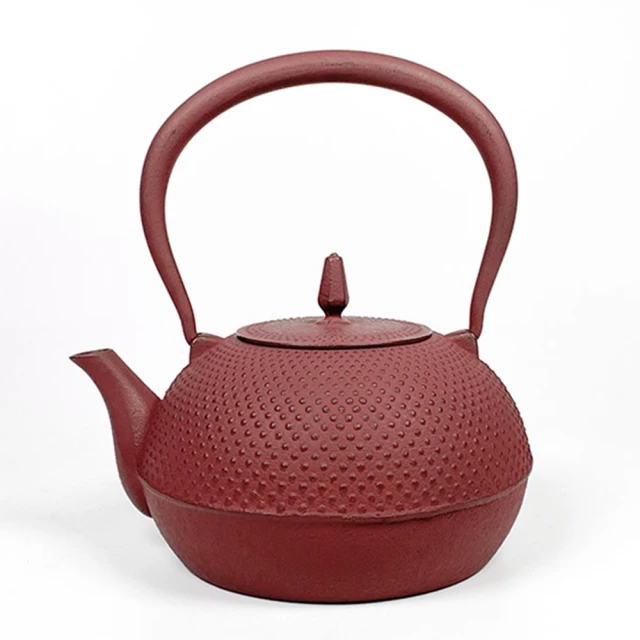 Amazon.com: 茶壺鑄鐵茶壺附不鏽鋼泡茶器日本茶壺適用於爐灶頂部
