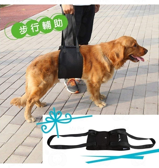 日本進口犬用輔助帶 1