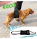 JASHOP 日本進口犬用輔助帶 1