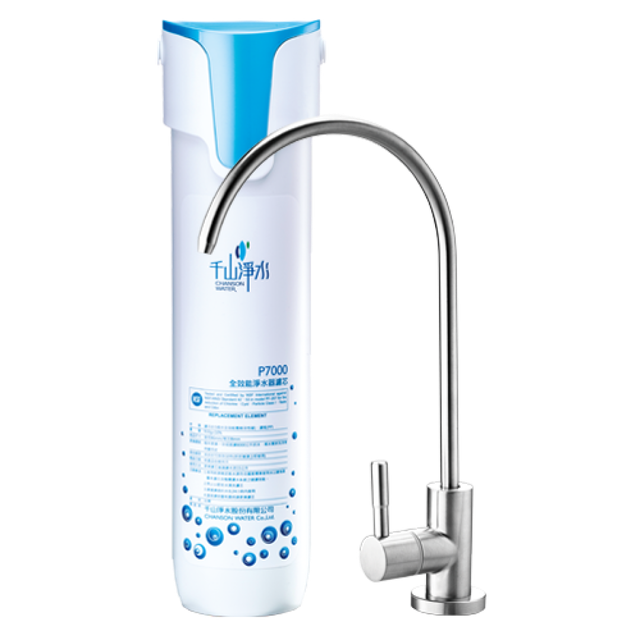 10 大廚上型淨水器推薦排行榜 5