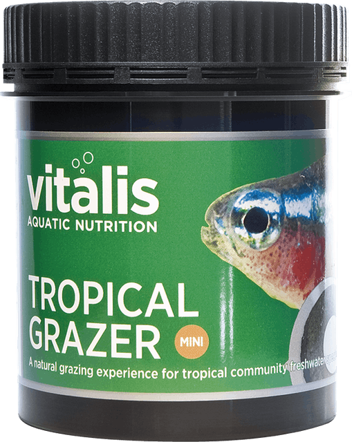 10 大熱帶魚飼料推薦排行榜 5