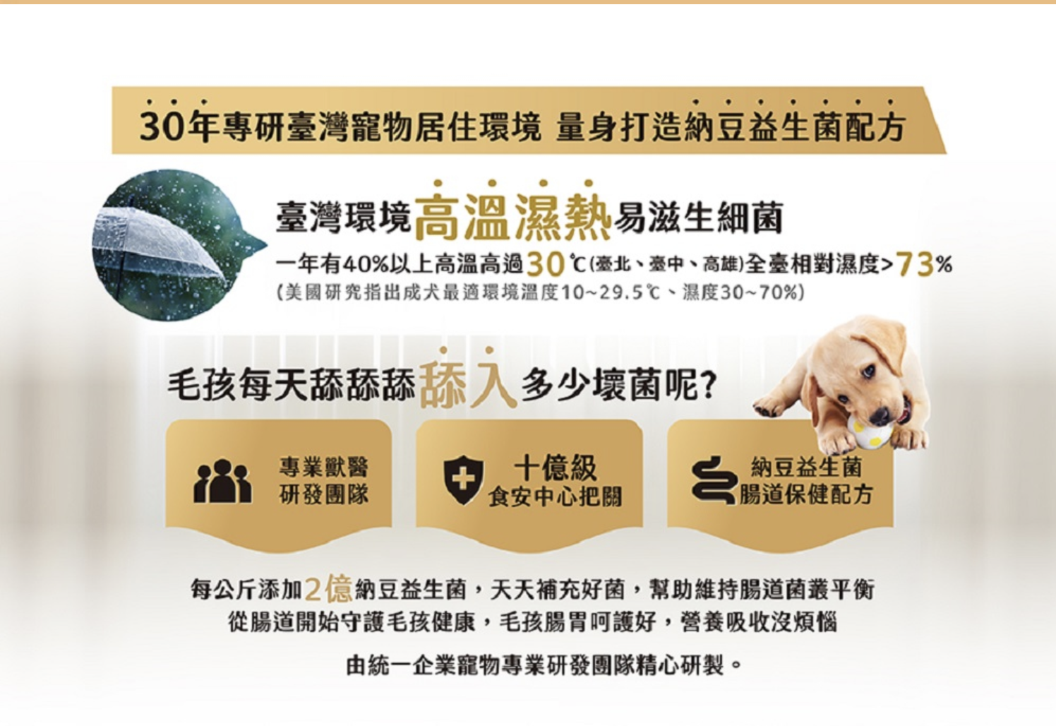 熟齡配方健康犬餐 2