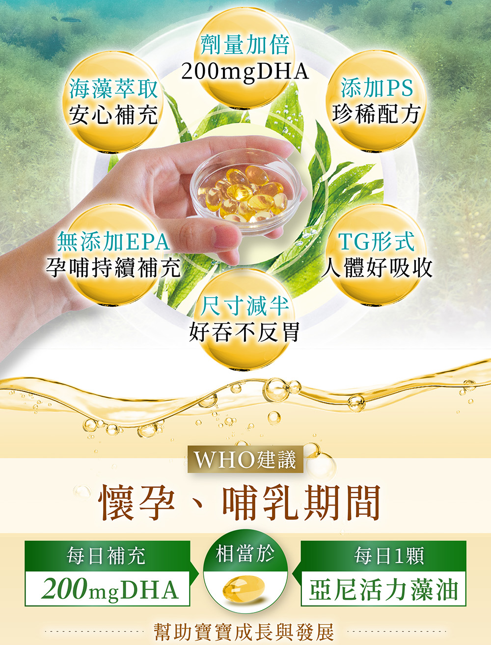 植物藻油 DHA+PS 黃金雙配方 2