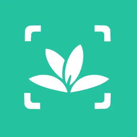 植物識別 1