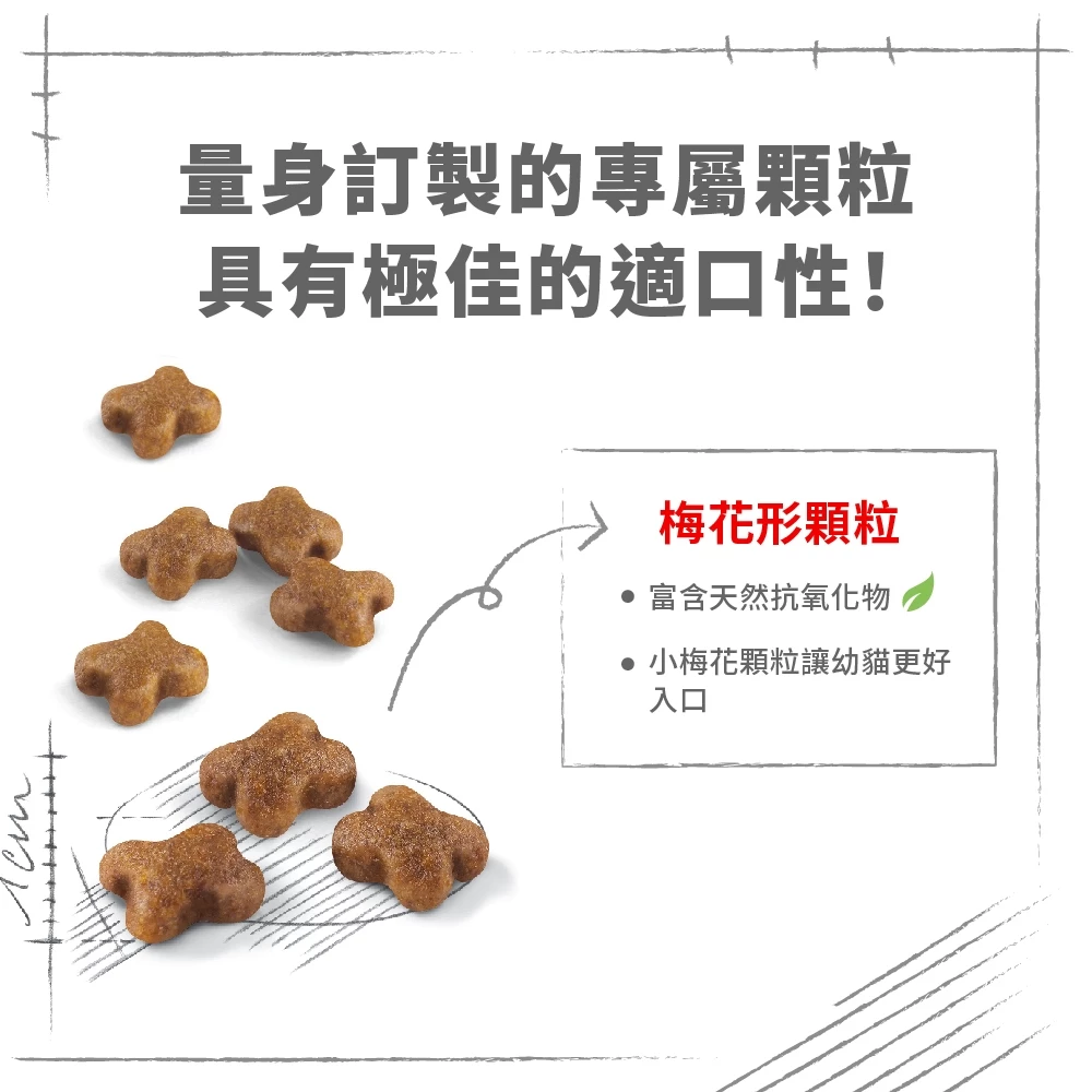 幼貓專用飼料K36 4