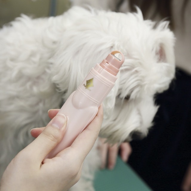 Preciante電動寵物指甲剪 6