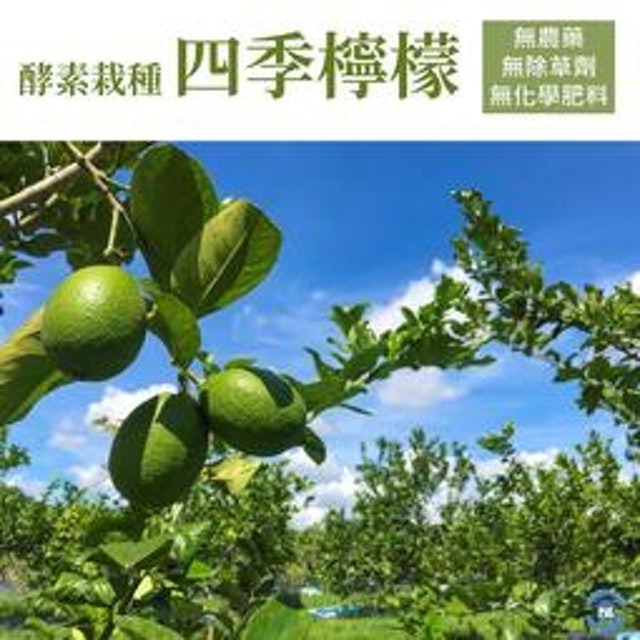 10 大檸檬宅配推薦排行榜 3