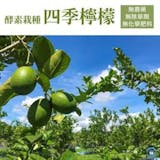 10 大檸檬宅配推薦排行榜 3