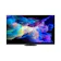Panasonic國際牌 4K OLED 智慧顯示器 1