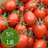 10 大番茄宅配推薦排行榜 3