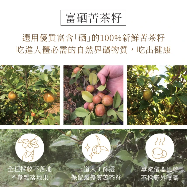 冷壓小果籽苦茶油 2