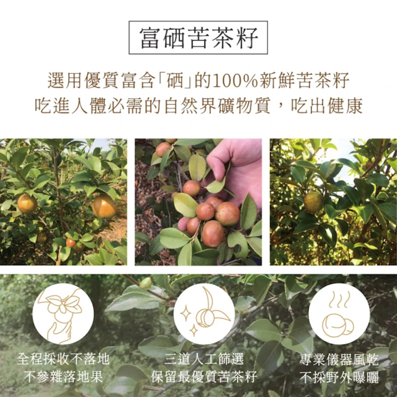 冷壓小果籽苦茶油 2