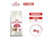 10 大貓乾糧推薦排行榜【2026最新】 2