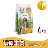 10 大低敏狗飼料推薦排行榜 4