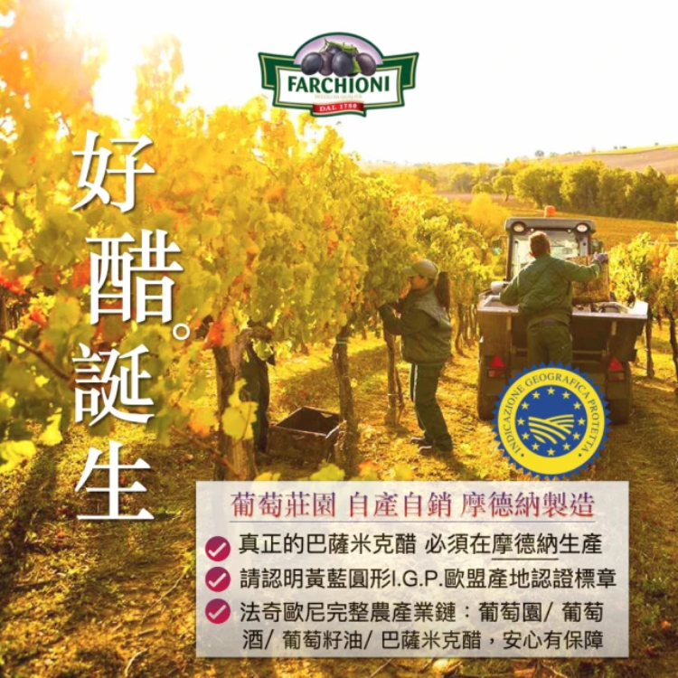 迷你紫瓶IGP認證巴薩米克醋 3