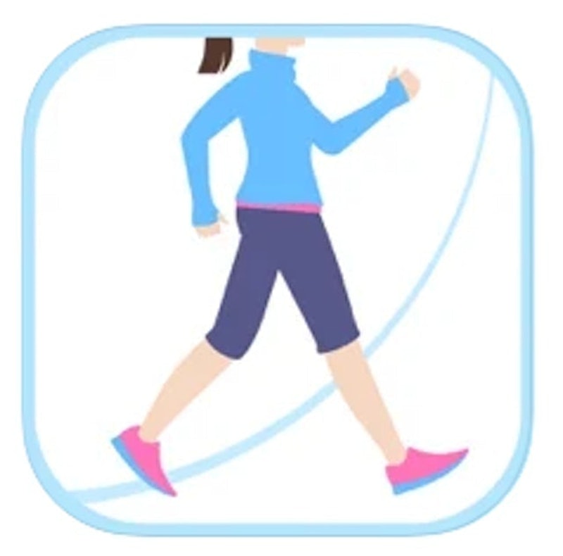 Simple pedometer 記錄步行伴侶 1