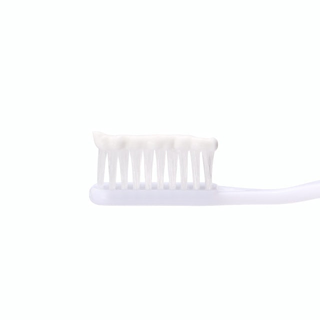 Check-Up standard 防蛀含氟牙膏 4