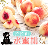 10 大水蜜桃宅配推薦排行榜 2