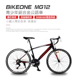 專家監製10 大公路車推薦排行榜 5