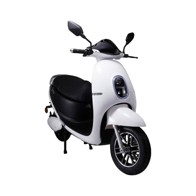 ES-1000 普通輕型電動機車 1