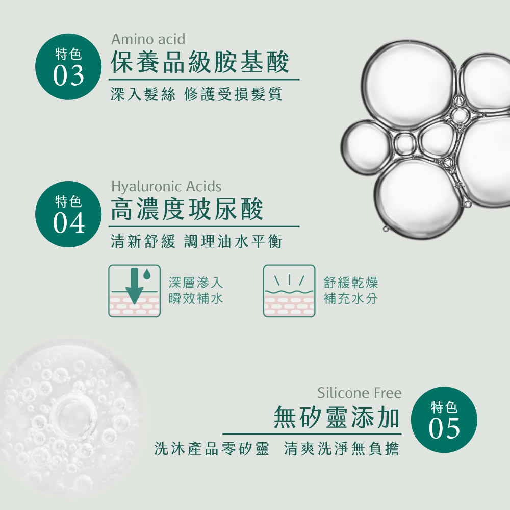 淨平衡茶樹勁涼蓬鬆抗屑洗髮精 3