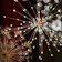 LED太陽能煙花燈 1