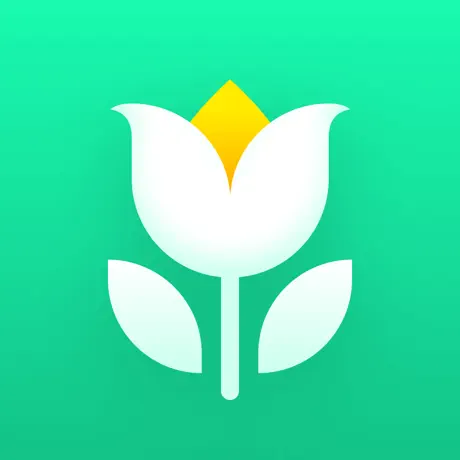 10 大植物App推薦排行榜 4