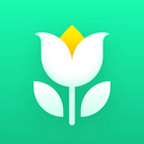 10 大植物App推薦排行榜 4