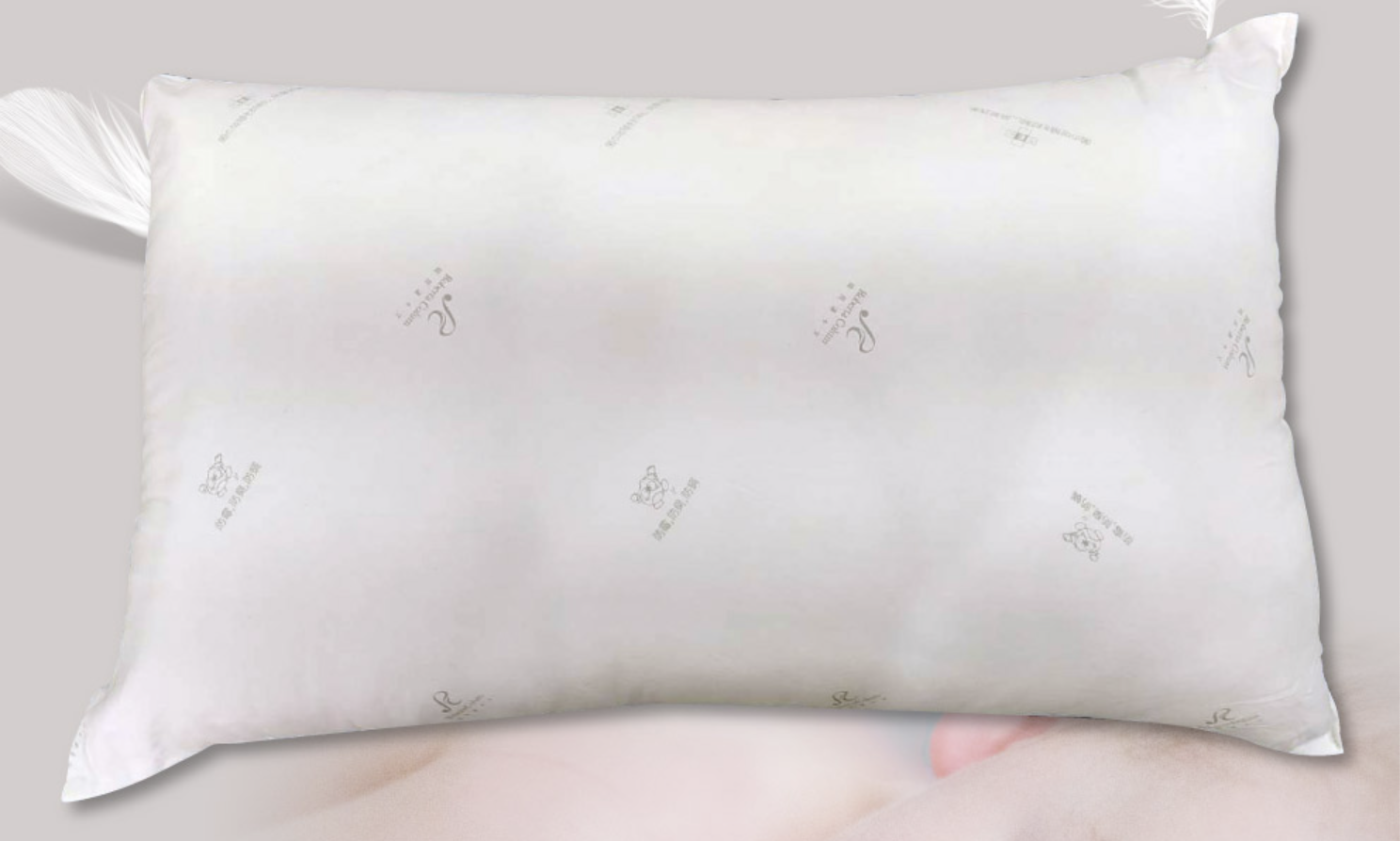 舒眠壓縮枕 1