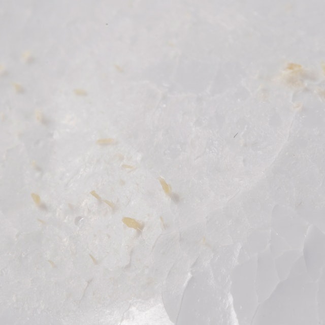 妙鼻貼（女用） 14