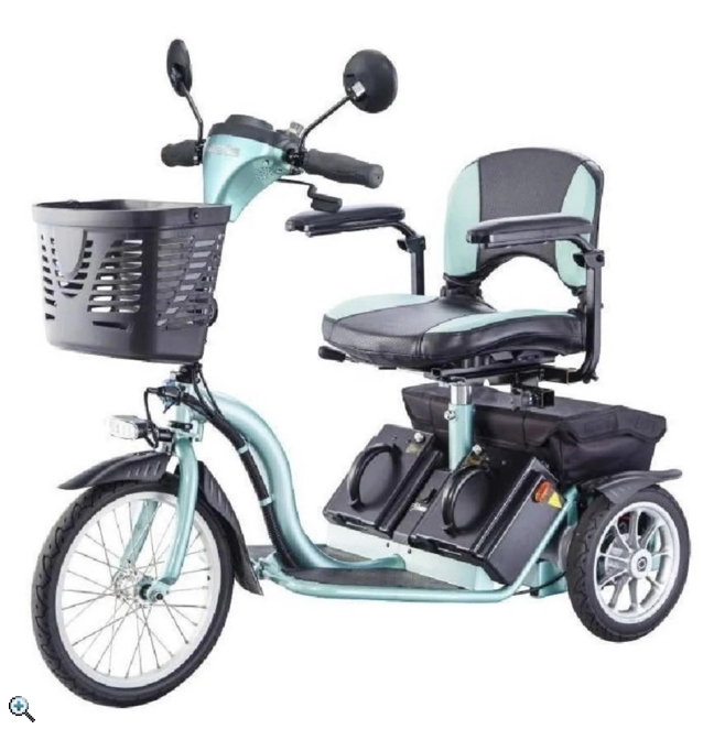電動代步車石虎II 1