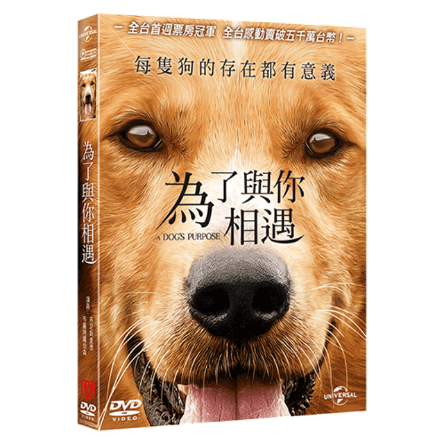 影評人監製10 大狗狗電影推薦排行榜 1