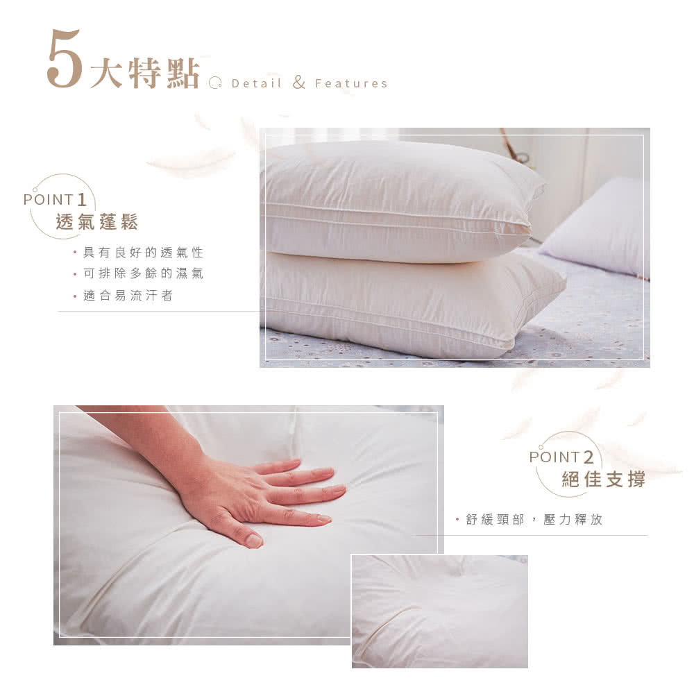 法國天然水鳥羽絨枕 2