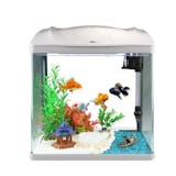 10 大金魚缸推薦排行榜 5