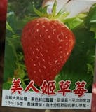 專家監製10 大自種蔬菜推薦排行榜 4