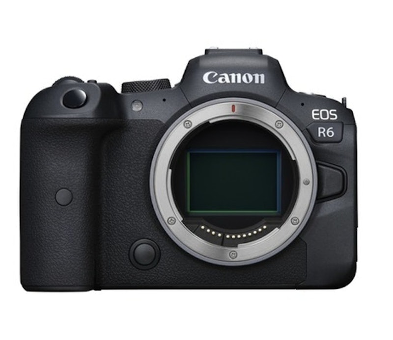 EOS R6 Mark II 單機身 1
