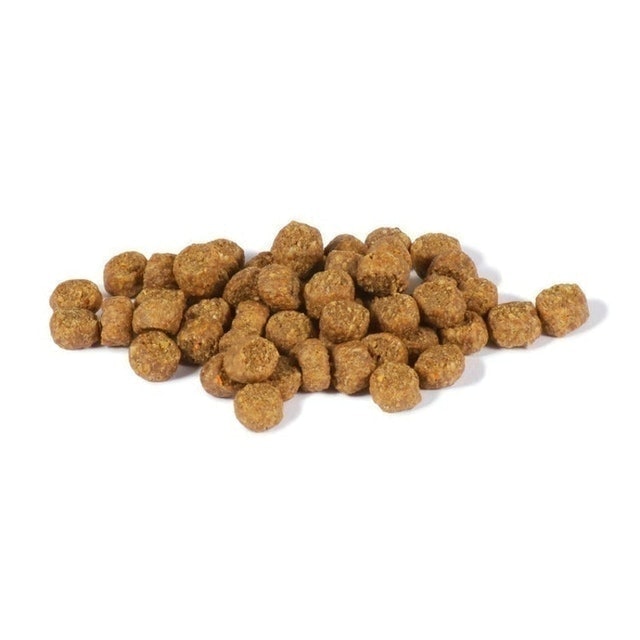 CORE無穀高蛋白質貓乾糧 室內貓用 5