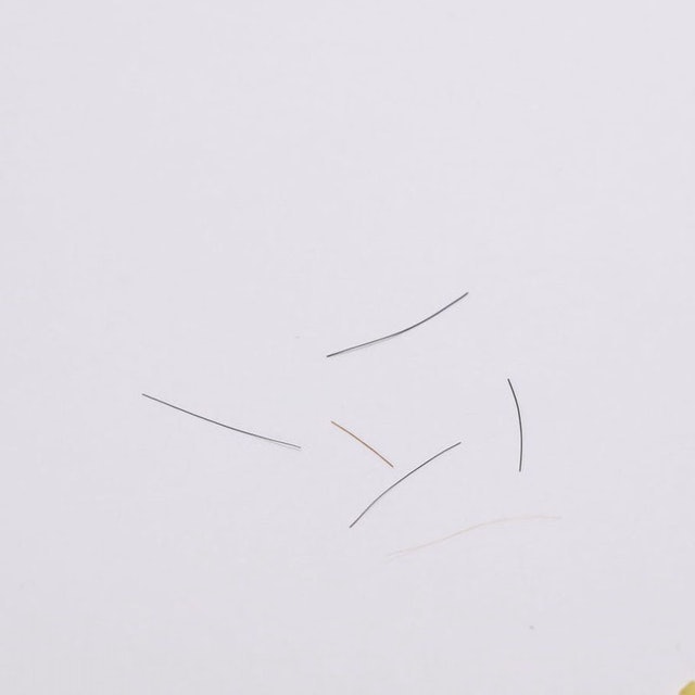 馬毛鞋刷 5