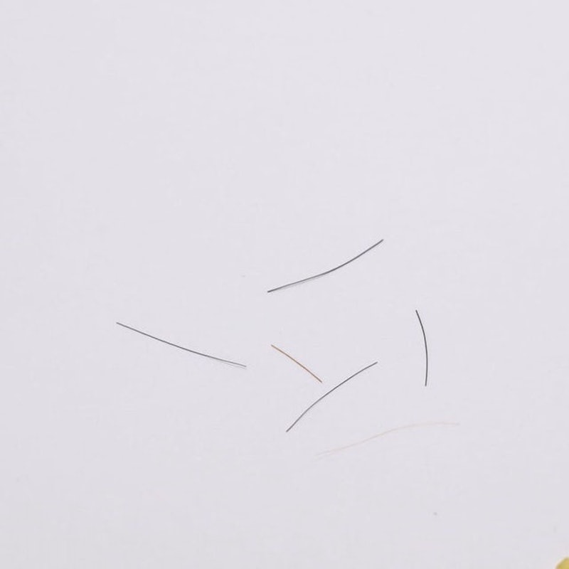 馬毛鞋刷 5