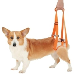 高齡犬步行輔助帶