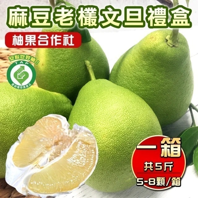 產銷履歷認證麻豆50年老欉文旦禮盒 1
