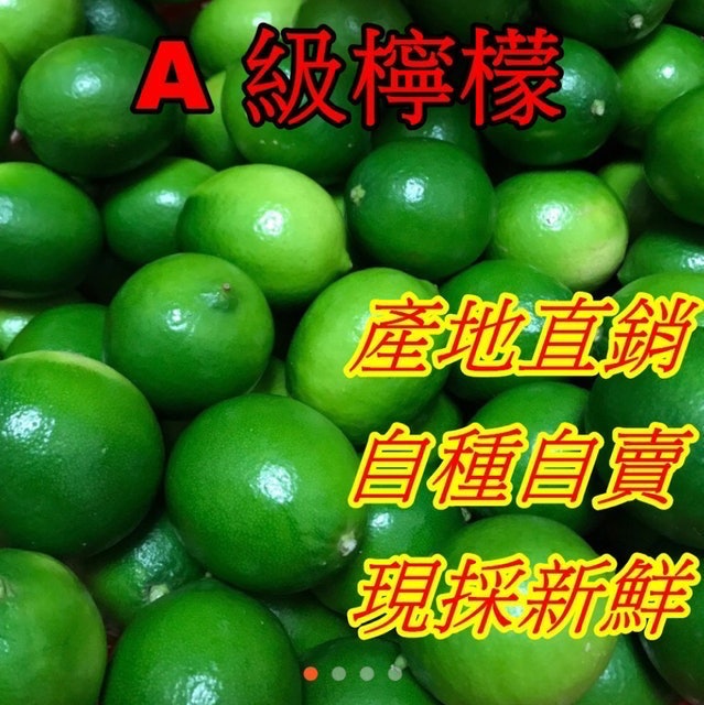 屏東無毒檸檬 1